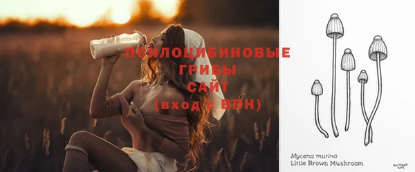 первитин Пересвет