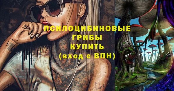 кокс Осташков