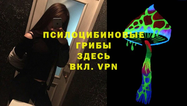 первитин Пересвет